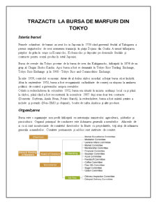 Tranzacții la Bursa de Mărfuri din Tokyo - Pagina 1
