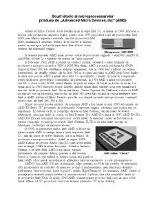 Arhitectura calculatoarelor - Intel vs AMD - Pagina 4