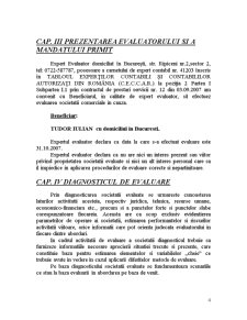 Evaluarea - SC Dal Com Impex 93 SRL - Pagina 4