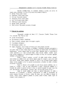 Managementul salarizării la SC Consorzio Pontello Tirrena Scavi SA - Pagina 2