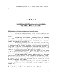 Managementul salarizării la SC Consorzio Pontello Tirrena Scavi SA - Pagina 5