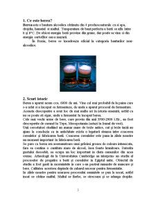 Tehnologia de obținere a berii brune - Pagina 3