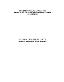Studiu de fezabilitate - Grădinița Particulară Micul Strumpf - Pagina 1