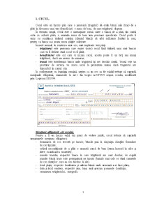 Dezvoltarea operațiunilor cu instrumente de plată fără numerar pe suport hârtie în România - Pagina 3
