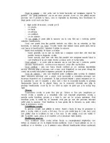 Dezvoltarea operațiunilor cu instrumente de plată fără numerar pe suport hârtie în România - Pagina 5