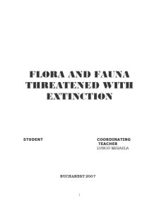 Flora and fauna - Pagina 1