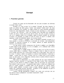 Somajul la Nivel European - Pagina 3
