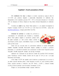 Management strategic - Antibiotice Iași - Pagina 1