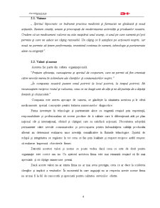 Management strategic - Antibiotice Iași - Pagina 3