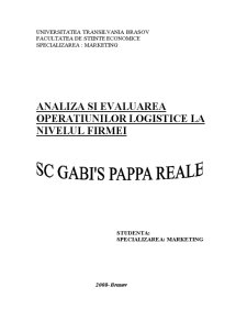 Analiza și evaluarea operațiunilor logistice la nivelul firmei - SC Gabi's Pappa Reale - Pagina 1