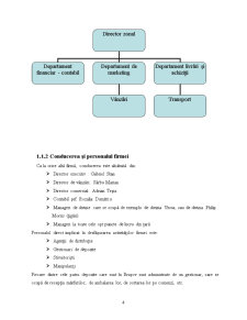 Analiza și evaluarea operațiunilor logistice la nivelul firmei - SC Gabi's Pappa Reale - Pagina 4