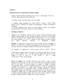 Buget de venituri și cheltuieli - finanțarea unităților agricole SC Agromec SA - Pagina 5