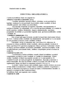 Practica Tehnica Bancara - Raiffeisen Bank Romania - Pagina 5