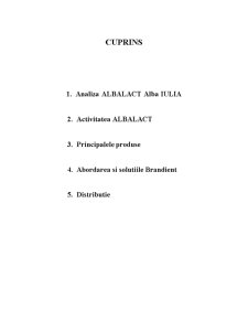 Analiza Albalact Alba Iulia - Pagina 2