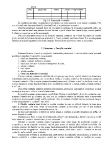 Bazele contabilității - Pagina 19