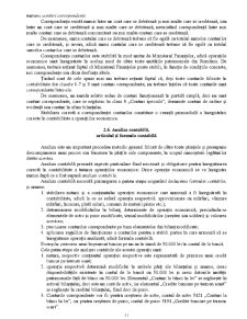 Bazele contabilității - Pagina 29