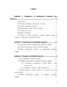 Fundamentarea și Finanțarea Cheltuielilor Bugetare la Primăria Comunei Miroslava - Pagina 2