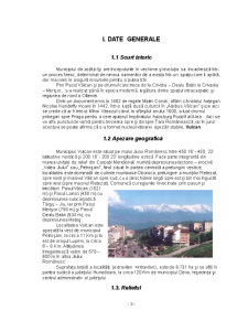 Dezvoltarea economico-socială regională a municipiului Vulcan - Pagina 3