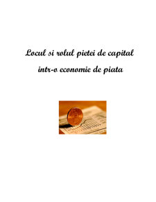 Locul și rolul pieței de capital - Pagina 2