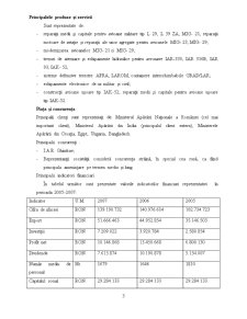 Reflectarea aspectelor financiare ale guvernanței corporatiste la SC Aerostar SA Bacău - Pagina 4