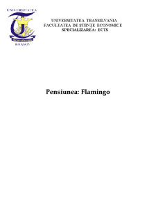 Analiza unei Firme de Servicii - Pensiunea Flamingo - Pagina 1