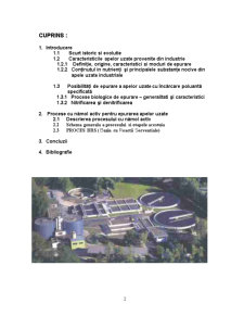 Procese de Epurare Biologică și Nitrificare pentru Epurarea Apelor Uzate Industriale - Pagina 2