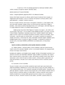 Istoria Dreptului Românesc - Pagina 3