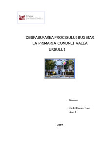 Desfășurarea procesului bugetar la Primăria Comunei Valea Ursului - Pagina 1