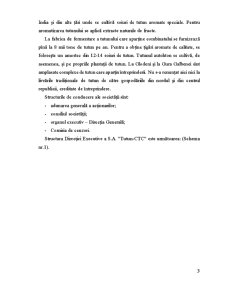 Raport de Practica Tutun CTC - Pagina 3