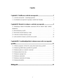Evaluarea Activelor Necorporale (Intangibile) - Pagina 1