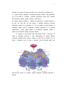 Fenomene de Transport prin Membrana Celulară - Pagina 3