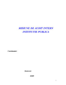 Audit Public Intern in Institutie Publica - Pagina 1