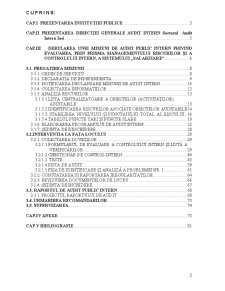 Audit Public Intern in Institutie Publica - Pagina 2