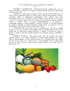 Importanța legumelor în alimentație - Pagina 2