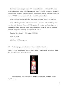 Metodă de întrare pe piața externă - exportul - vin Dealu Mare Vinul Cavalerului Roze - Pagina 3