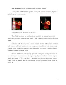Metodă de întrare pe piața externă - exportul - vin Dealu Mare Vinul Cavalerului Roze - Pagina 4