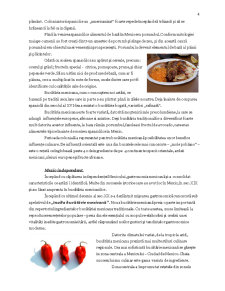 Bucătăria Mexicană - Pagina 4