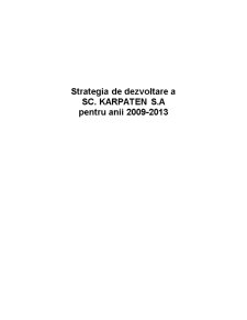 Strategia de Dezvoltare a SC Karpaten SA pentru Anii 2009-2013 - Pagina 1