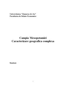 Câmpia Mesopotamiei - caracterizare geografică complexă - Pagina 1