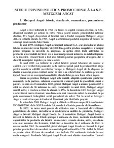 Politică promoțională - studiu de caz SC Metzgeri Angst - Pagina 1