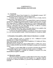 Contabilitatea Furnizorilor - Societatea SC Braun Union România SA - Pagina 3