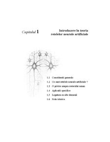 Introducere în Teoria Retelelor Neurale Artificiale - Pagina 1