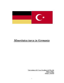 Minoritatea turcă în Germania - Pagina 1