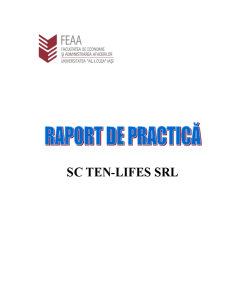 Raport de practică SC Ten-Lifes SRL - Pagina 1