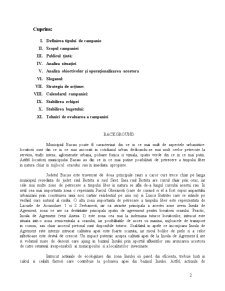 Proiect social politic - Bacău - Pagina 2