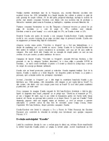 Brand Audit - Kandia - Pagina 5