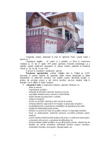 Descrierea Modului de Înființare și Funcționare a Pensiunii Casa Alpina - Pagina 5