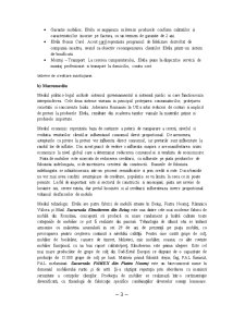 Elvila - analiză, tehnici promoționale - Pagina 3