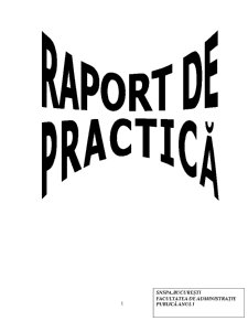 Raport de practică - Primăria Sectorului 6, București - Pagina 1