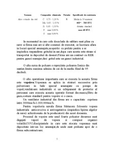 Raport de practică - Metacom Sandblasting SRL Galați - Pagina 5